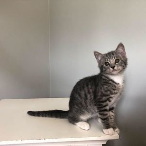 Meet your Posher, Donna